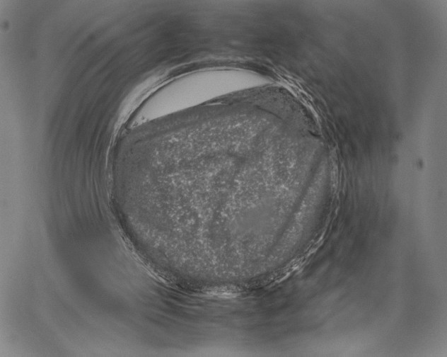 X0000066080053200604071742