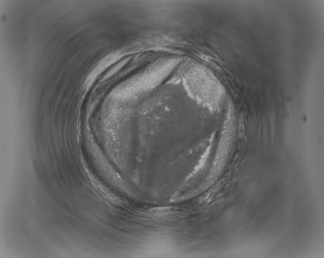 X0000066080054200604071742