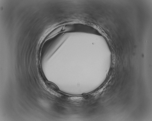 X0000066080055200604071742