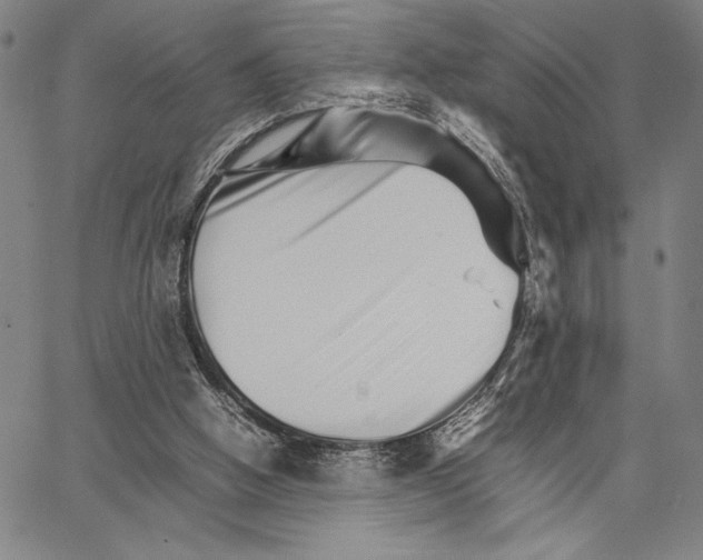 X0000066080058200604071742