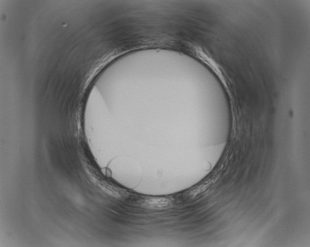 X0000066080059200604071742