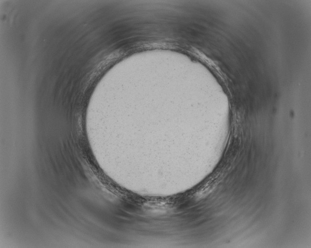 X0000066080061200604071742