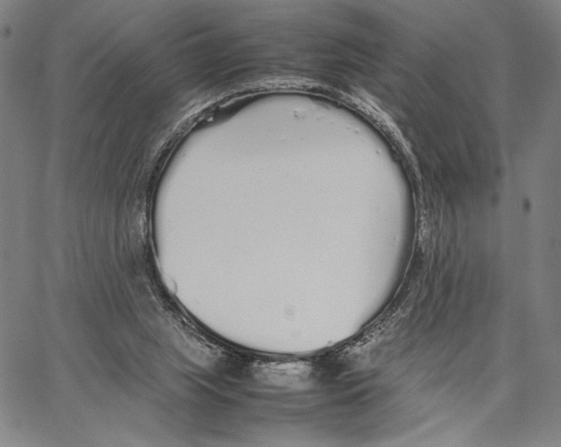 X0000066080063200604071742