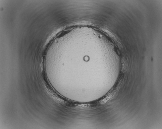 X0000066080064200604071742