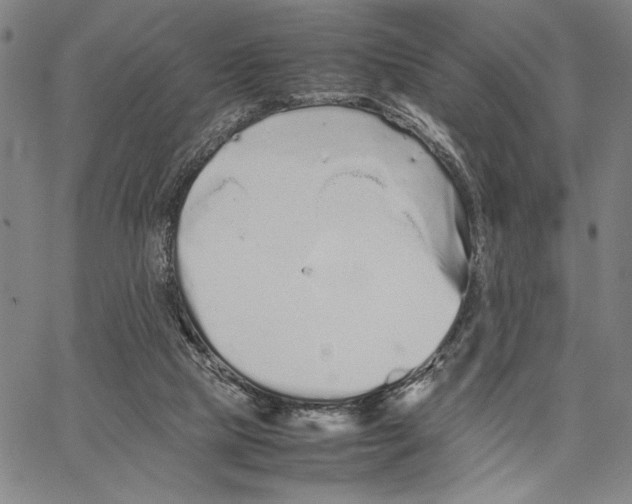 X0000066080065200604071742