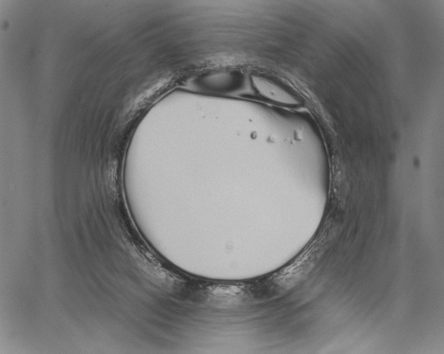 X0000066080066200604071742