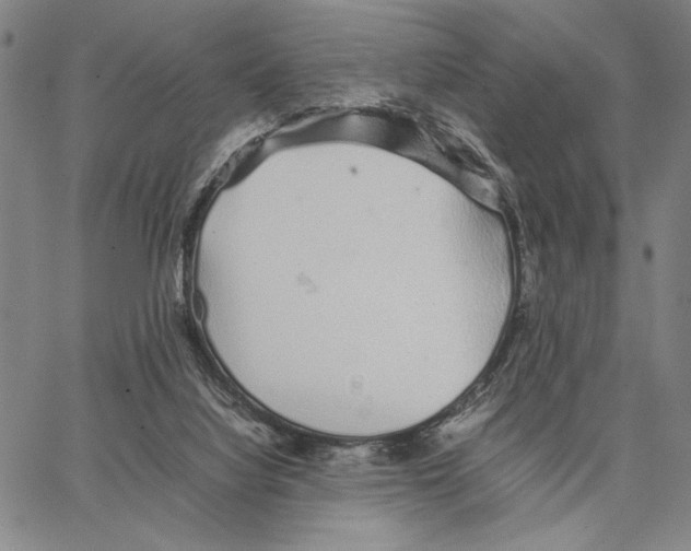 X0000066080068200604071742