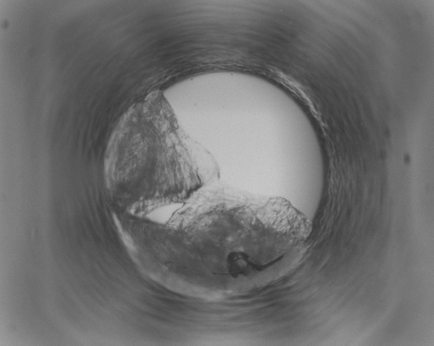 X0000066080069200604071742