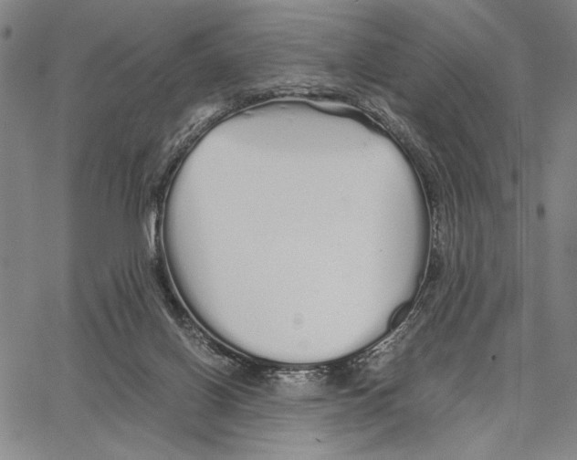 X0000066080070200604071742