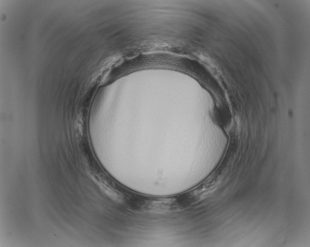 X0000066080072200604071742