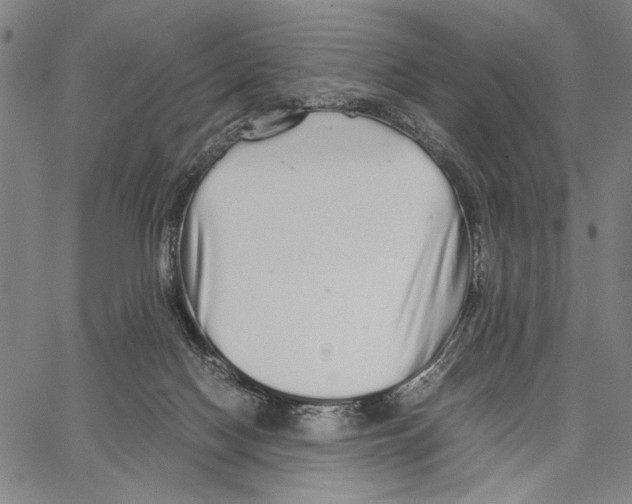 X0000066080074200604071742