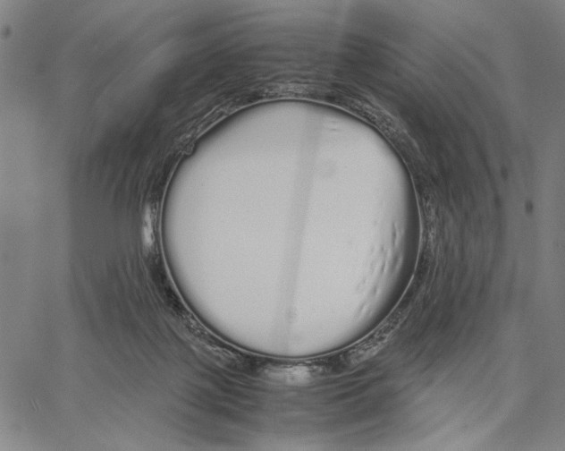 X0000066080075200604071742