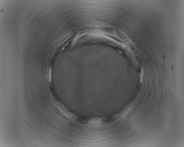 X0000066080076200604071742