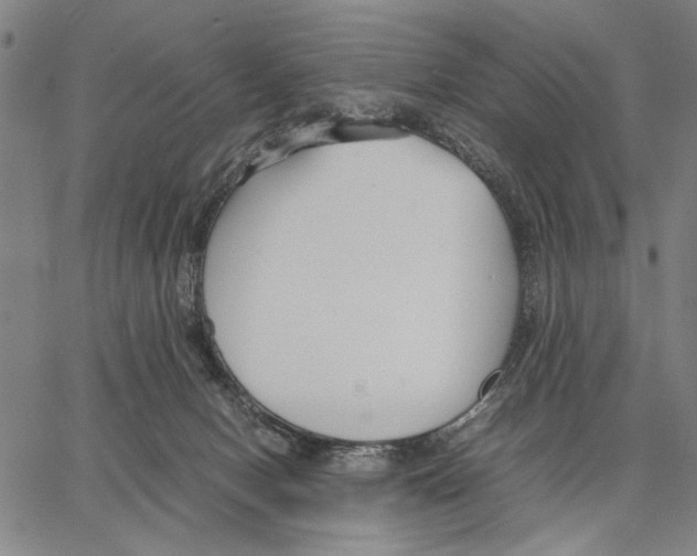 X0000066080078200604071742