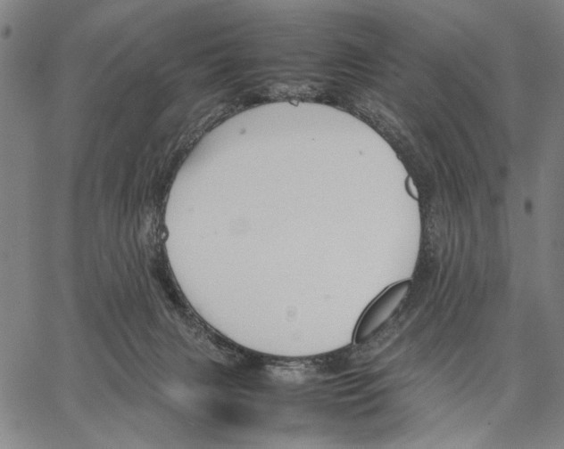 X0000066080079200604071742