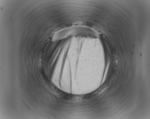 X0000066080080200604071742