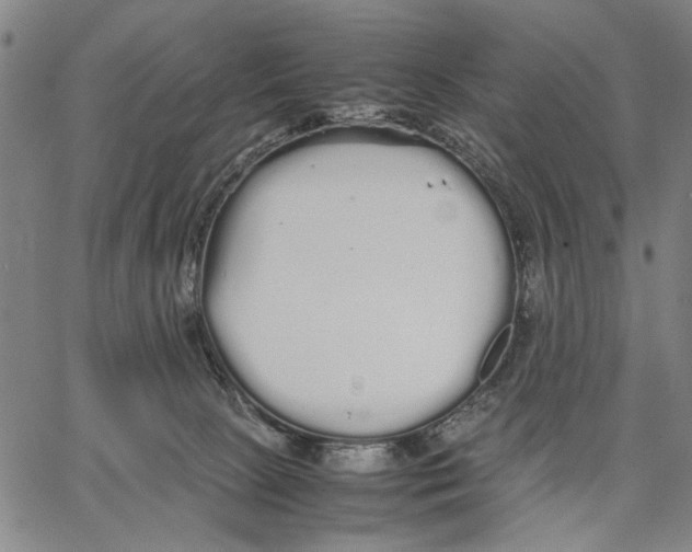 X0000066080081200604071742