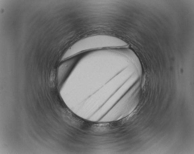 X0000066080082200604071742