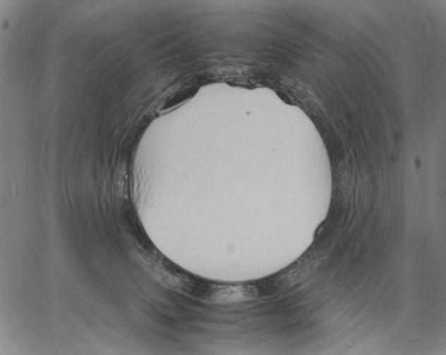 X0000066080083200604071742