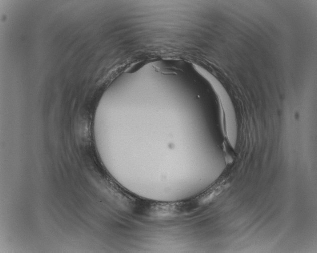 X0000066080084200604071742