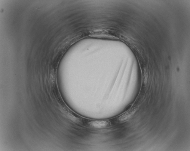 X0000066080085200604071742