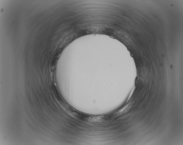 X0000066080086200604071742