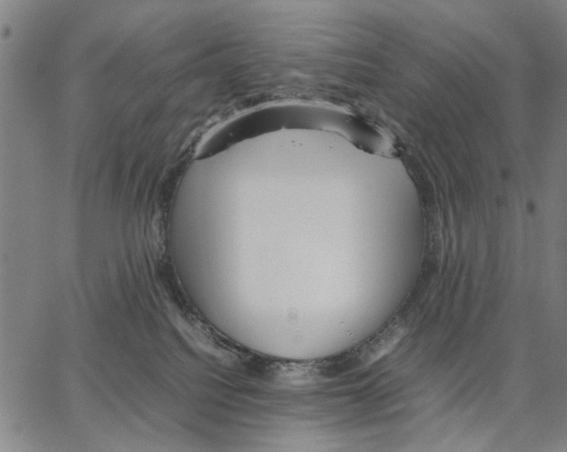 X0000066080088200604071742