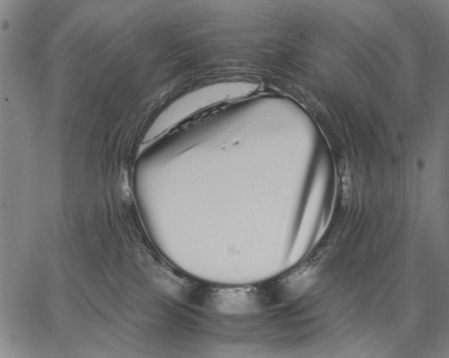 X0000066080089200604071742