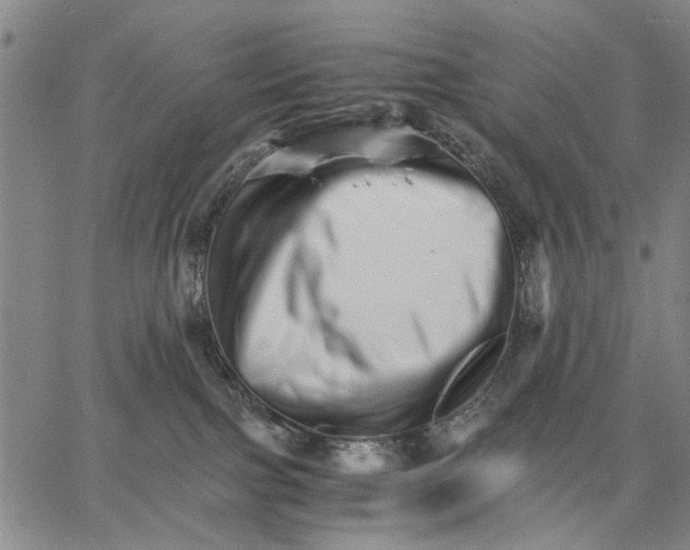 X0000066080091200604071742