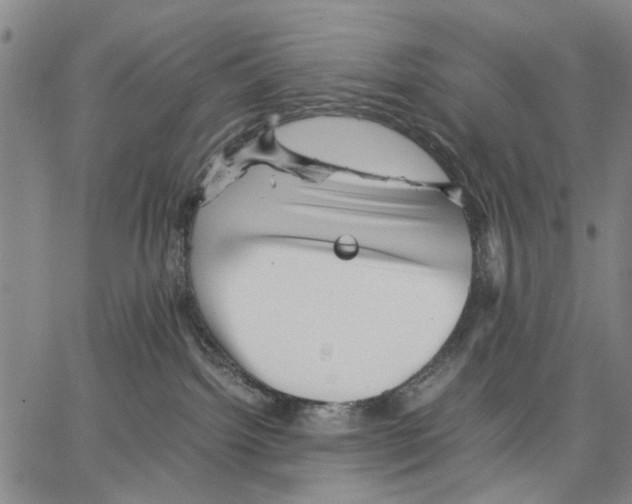 X0000066080092200604071742