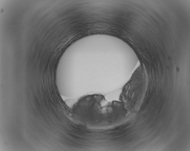 X0000066080093200604071742