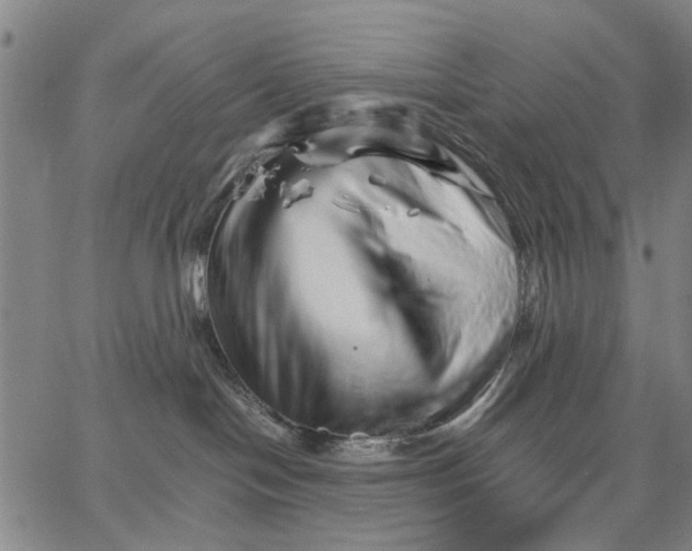 X0000066080094200604071742