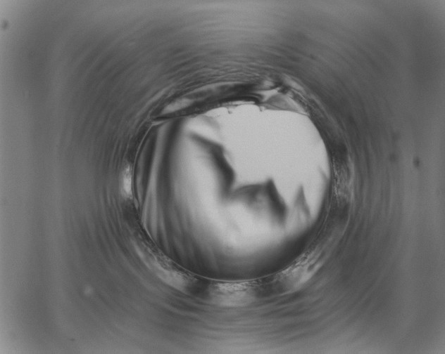 X0000066080095200604071742