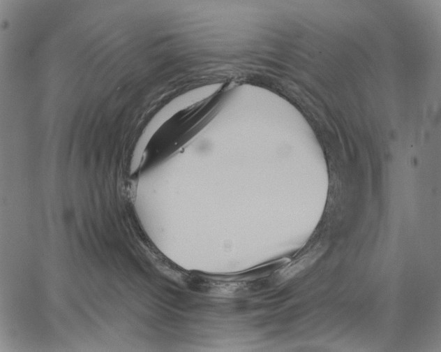 X0000066080096200604071742