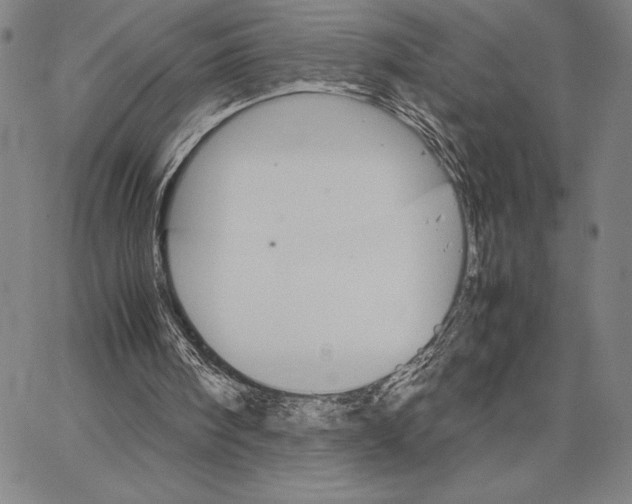 X0000066080098200604071742