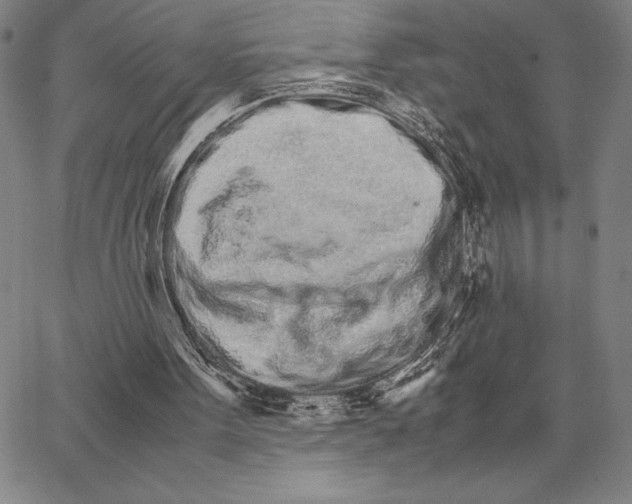 X0000066080099200604071742