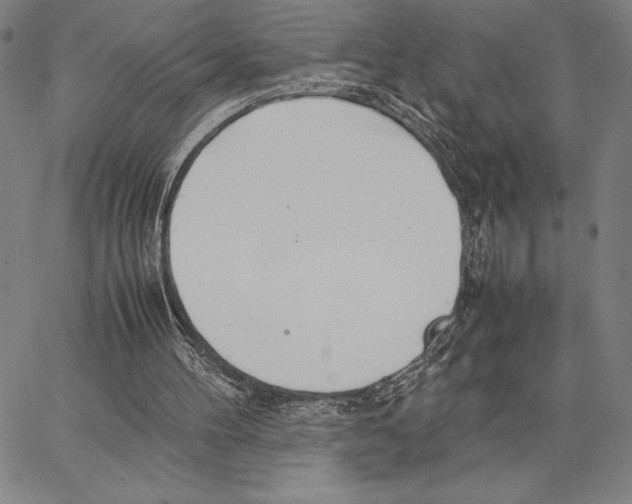 X0000066080100200604071742