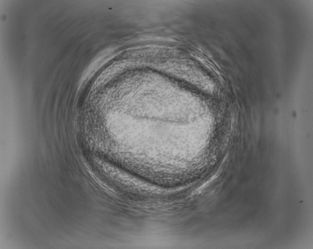 X0000066080101200604071742