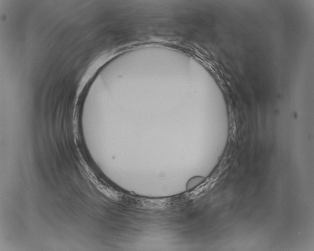 X0000066080102200604071742