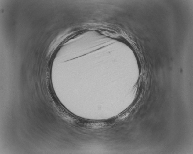 X0000066080103200604071742