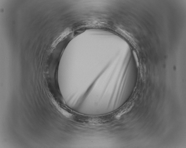 X0000066080105200604071742