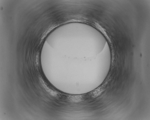 X0000066080106200604071742