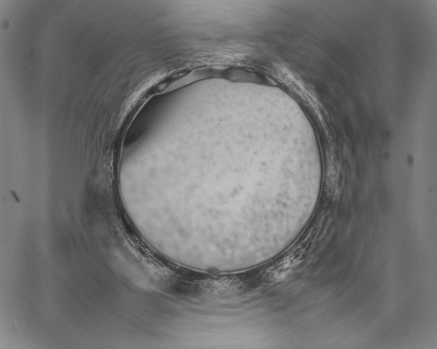 X0000066080107200604071742