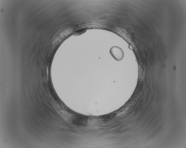 X0000066080109200604071742