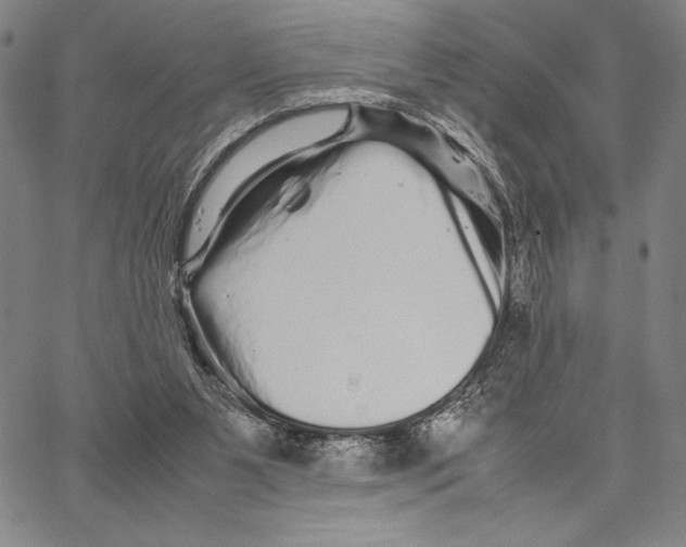 X0000066080111200604071742