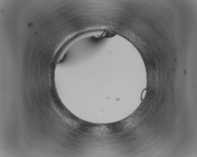 X0000066080112200604071741