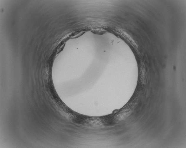 X0000066080113200604071741