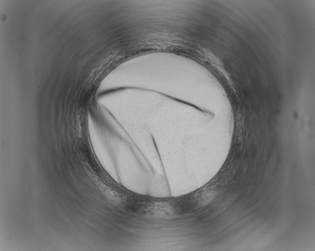 X0000066080114200604071741