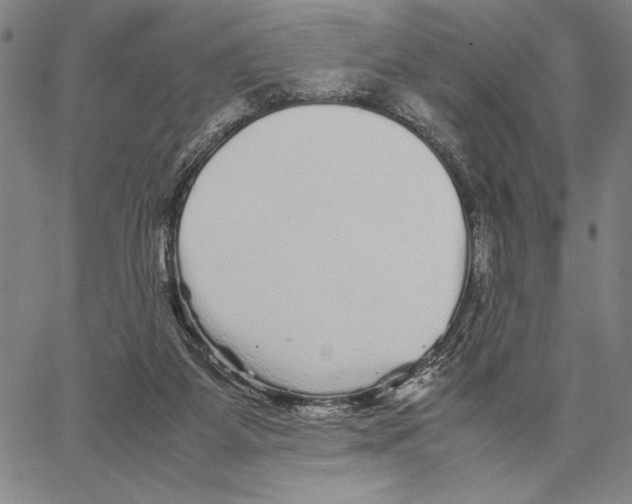 X0000066080115200604071741