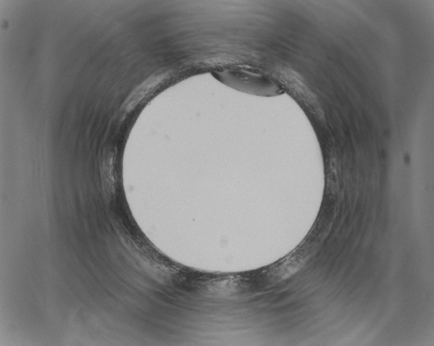 X0000066080116200604071741